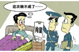 卓尼要账公司更多成功案例详情